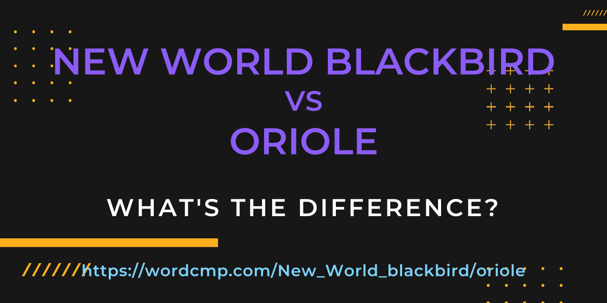 Difference between New World blackbird and oriole