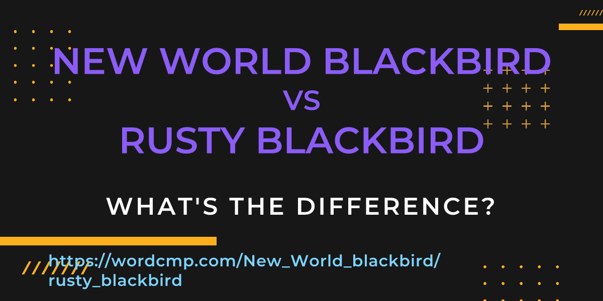 Difference between New World blackbird and rusty blackbird
