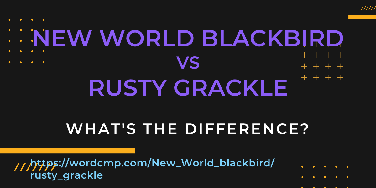 Difference between New World blackbird and rusty grackle