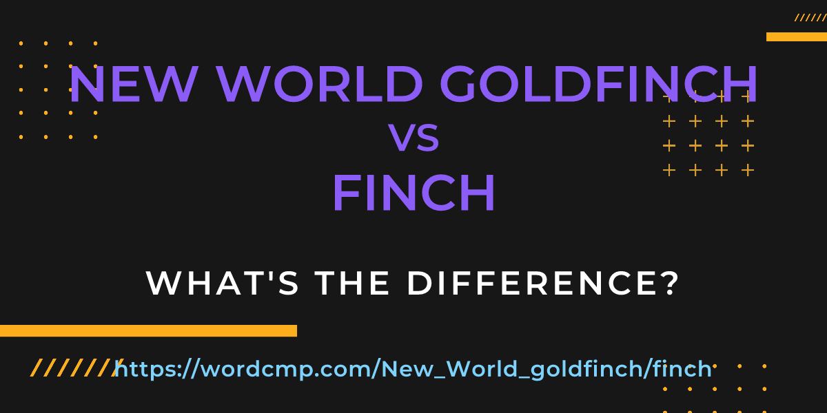 Difference between New World goldfinch and finch