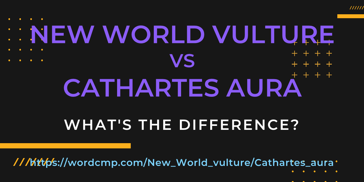 Difference between New World vulture and Cathartes aura