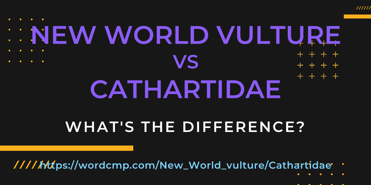 Difference between New World vulture and Cathartidae