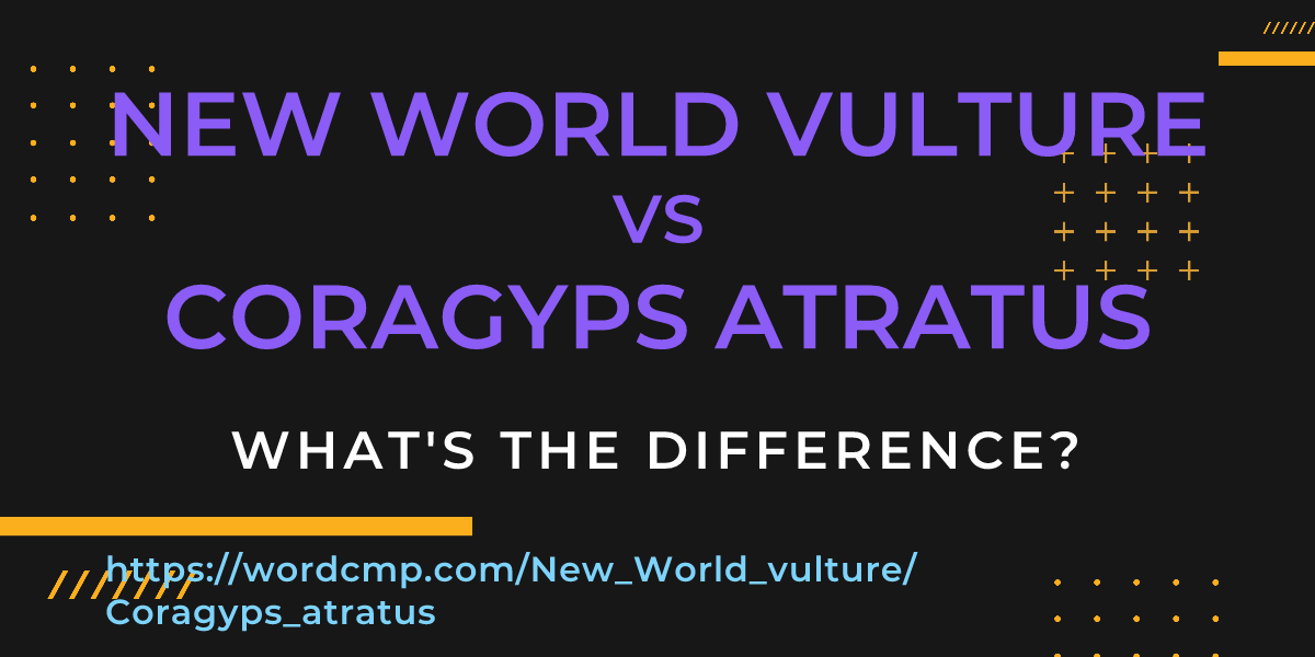 Difference between New World vulture and Coragyps atratus