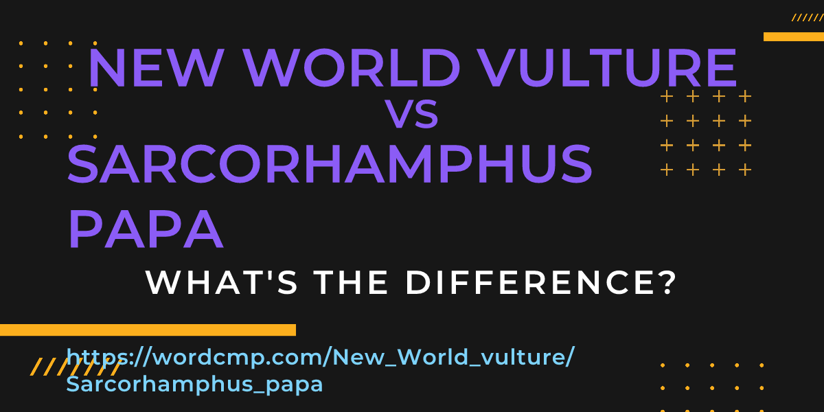 Difference between New World vulture and Sarcorhamphus papa