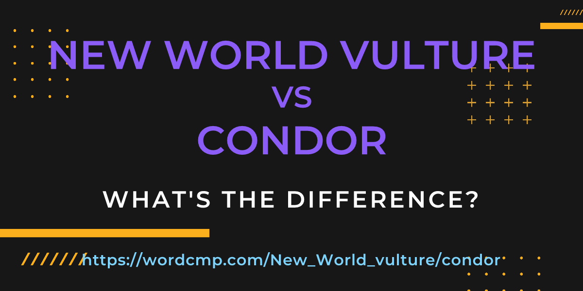 Difference between New World vulture and condor