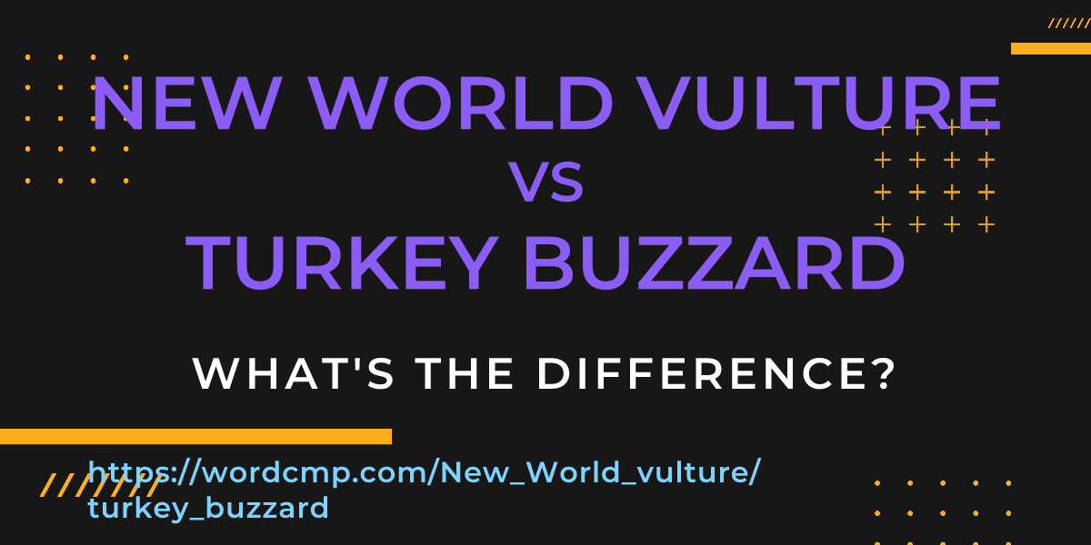 Difference between New World vulture and turkey buzzard