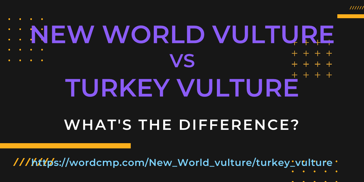 Difference between New World vulture and turkey vulture