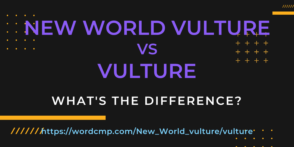 Difference between New World vulture and vulture