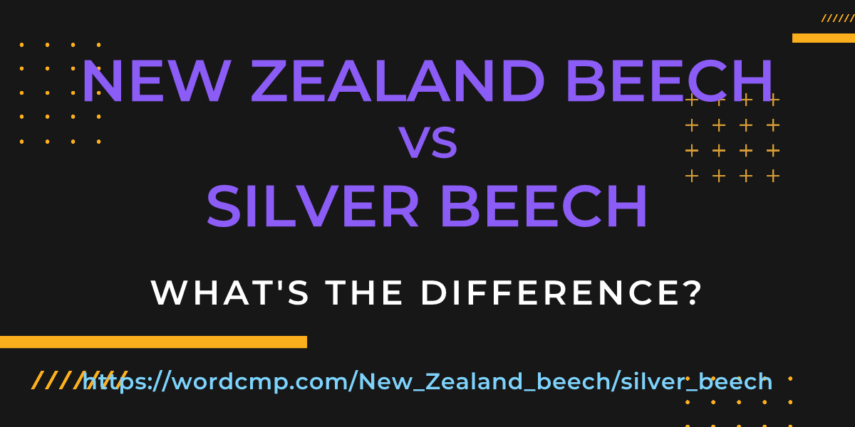 Difference between New Zealand beech and silver beech