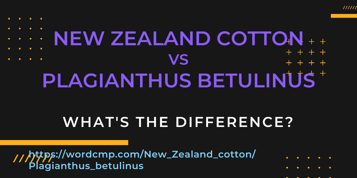 Difference between New Zealand cotton and Plagianthus betulinus