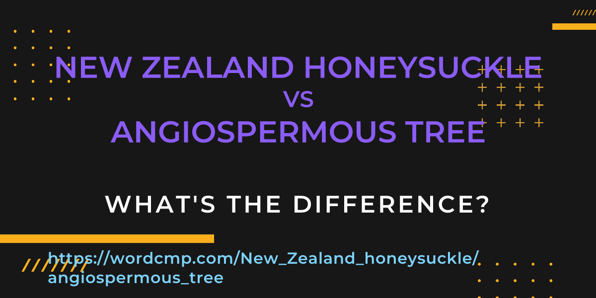 Difference between New Zealand honeysuckle and angiospermous tree