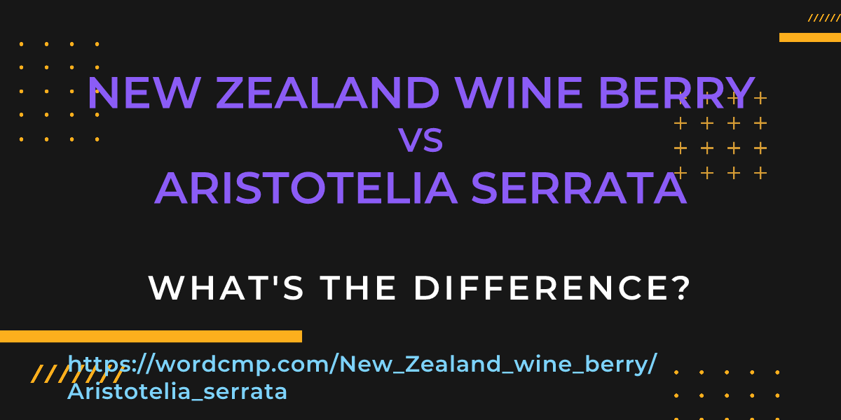 Difference between New Zealand wine berry and Aristotelia serrata