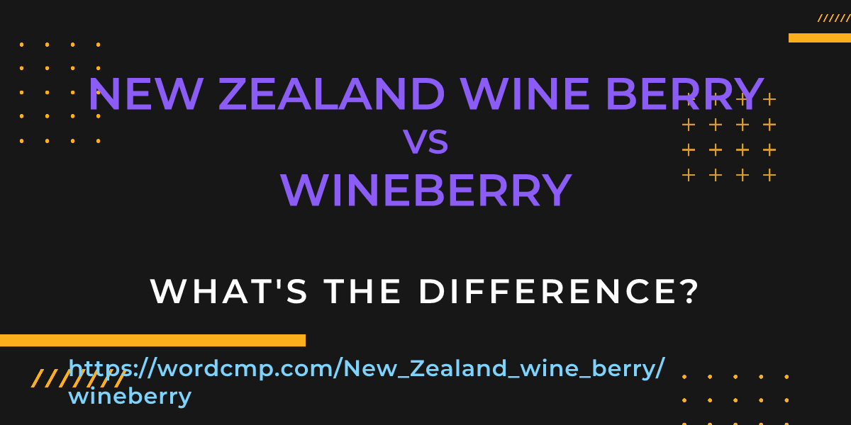 Difference between New Zealand wine berry and wineberry