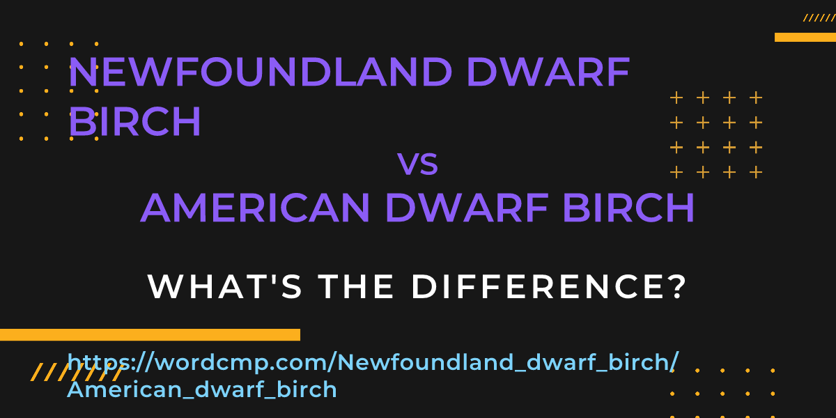 Difference between Newfoundland dwarf birch and American dwarf birch