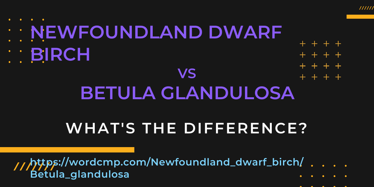 Difference between Newfoundland dwarf birch and Betula glandulosa