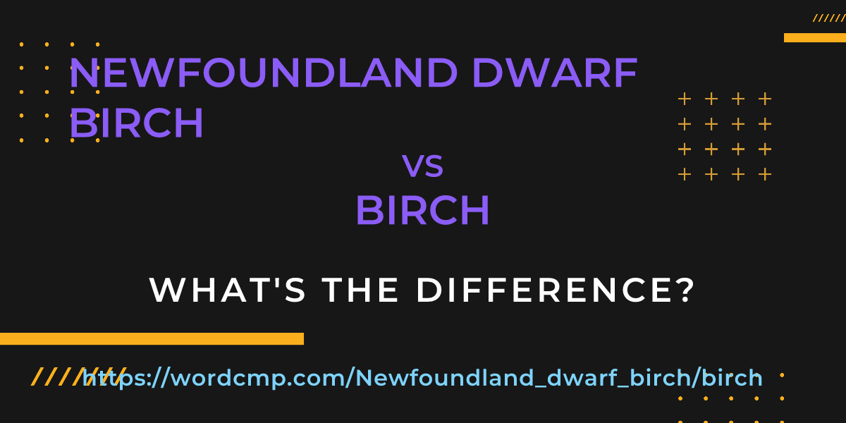 Difference between Newfoundland dwarf birch and birch
