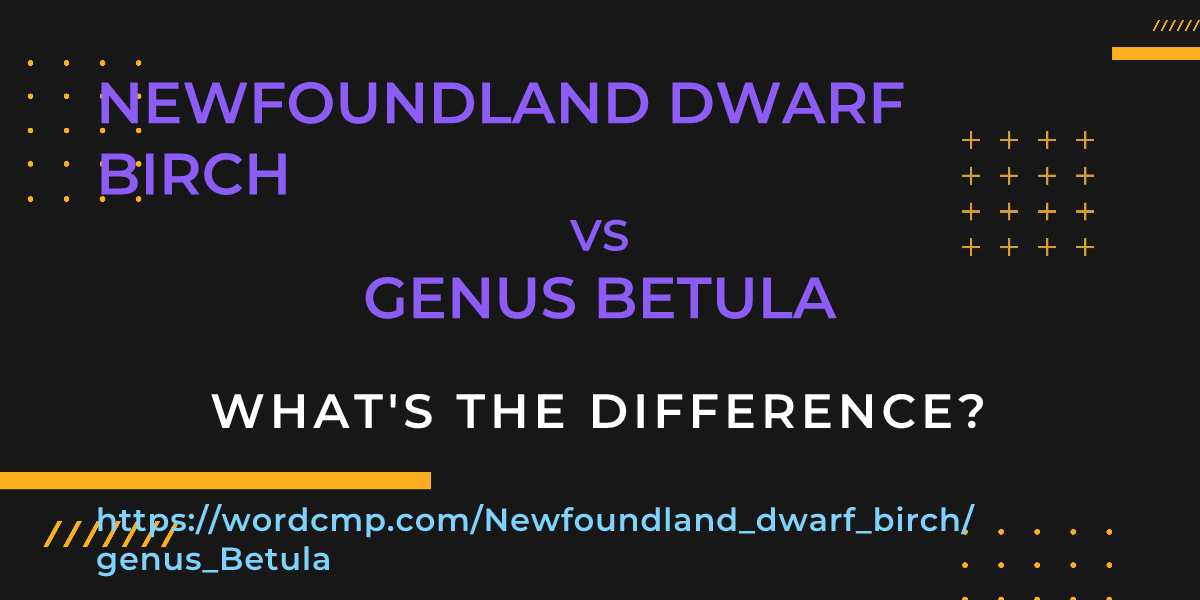 Difference between Newfoundland dwarf birch and genus Betula