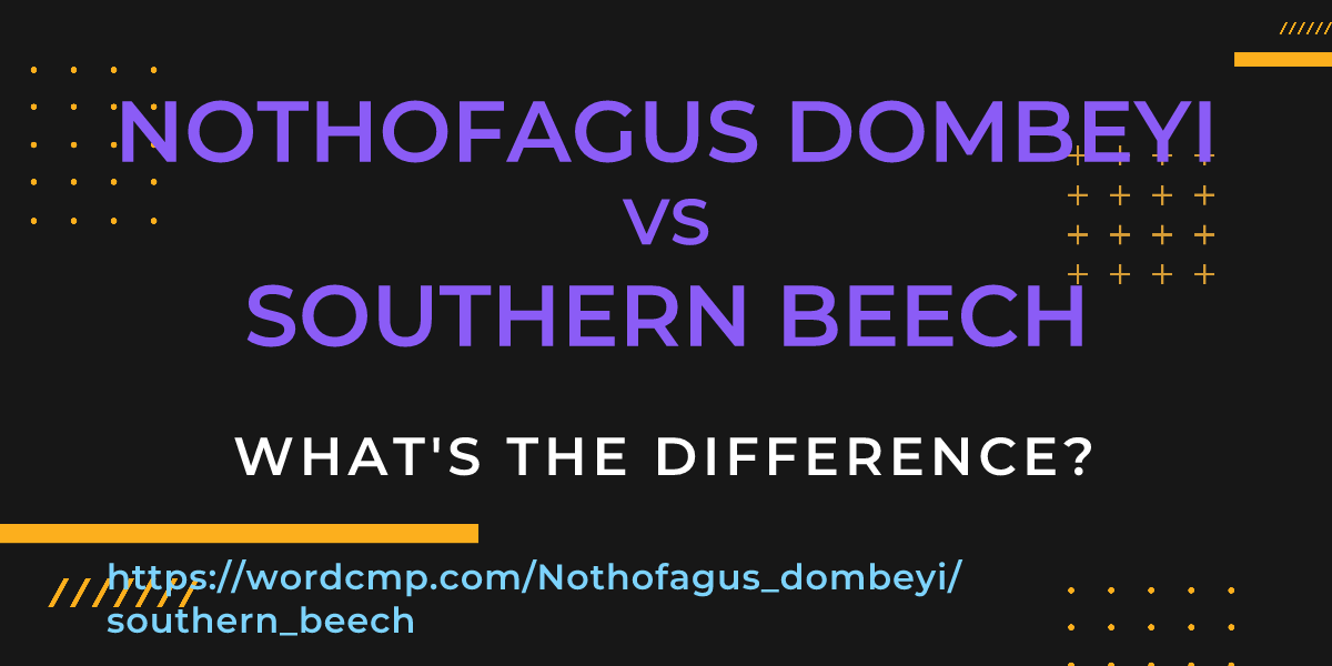 Difference between Nothofagus dombeyi and southern beech
