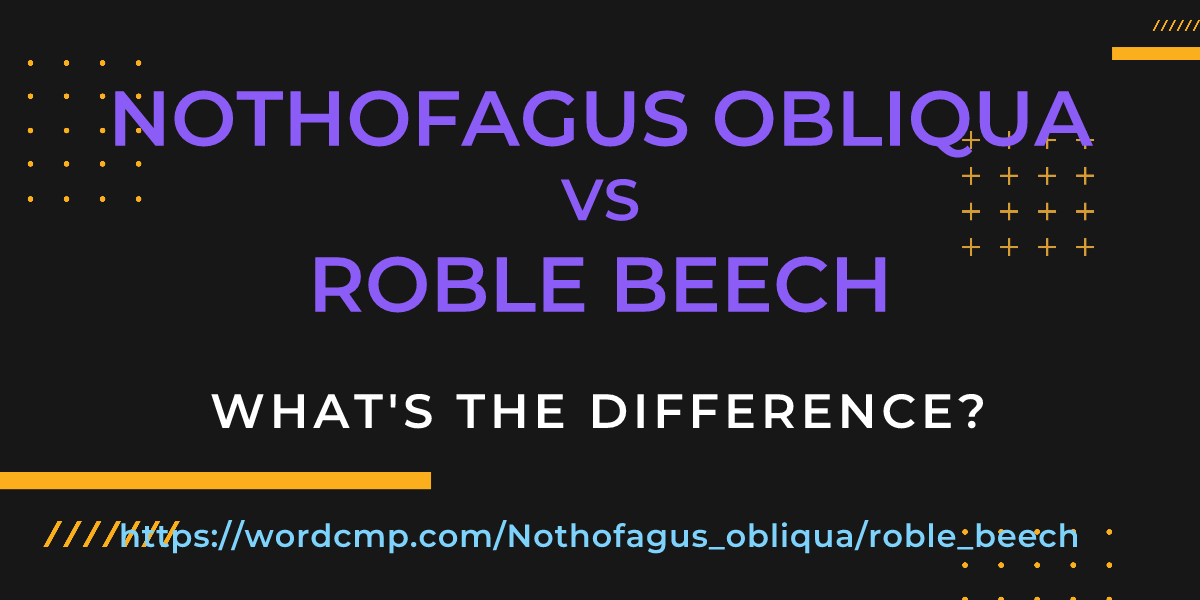 Difference between Nothofagus obliqua and roble beech
