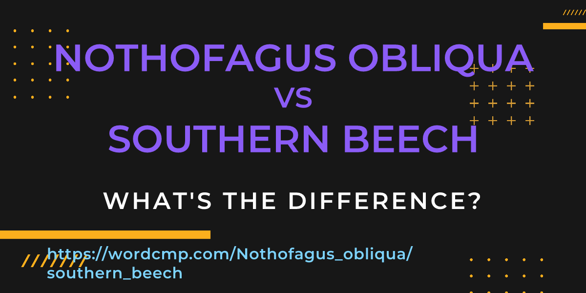 Difference between Nothofagus obliqua and southern beech