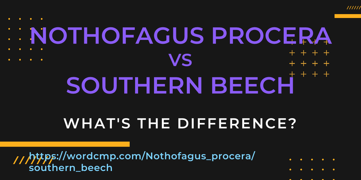 Difference between Nothofagus procera and southern beech