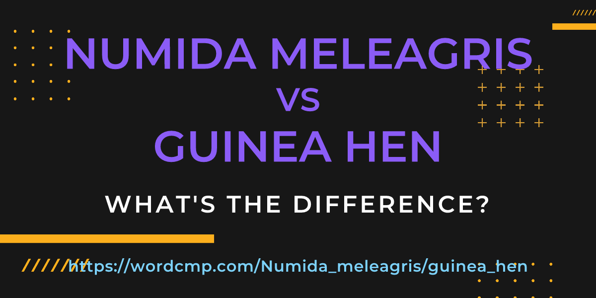 Difference between Numida meleagris and guinea hen