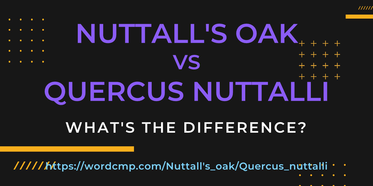 Difference between Nuttall's oak and Quercus nuttalli
