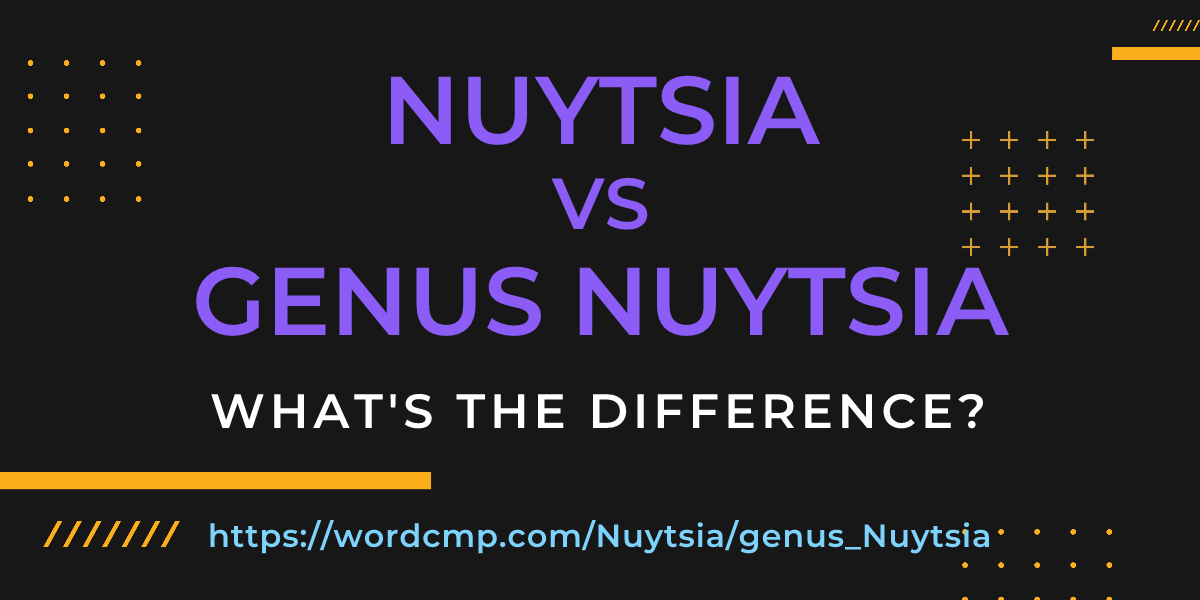 Difference between Nuytsia and genus Nuytsia