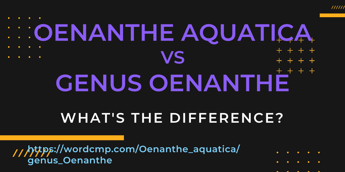Difference between Oenanthe aquatica and genus Oenanthe