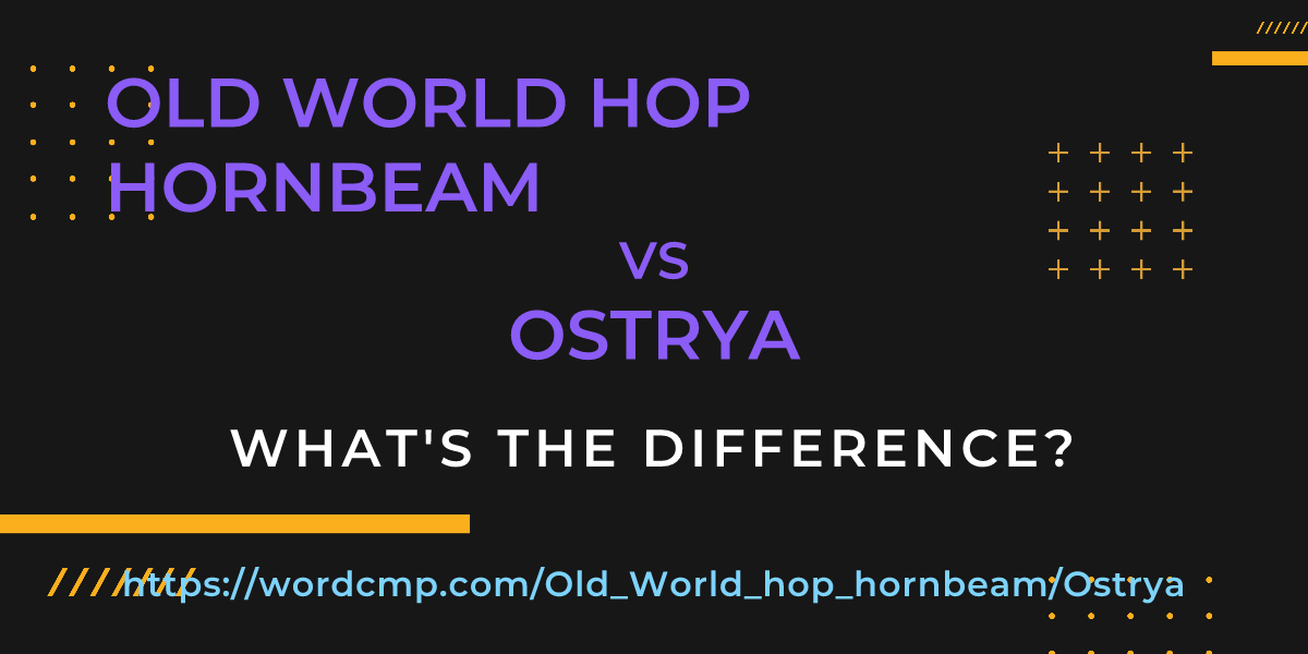 Difference between Old World hop hornbeam and Ostrya
