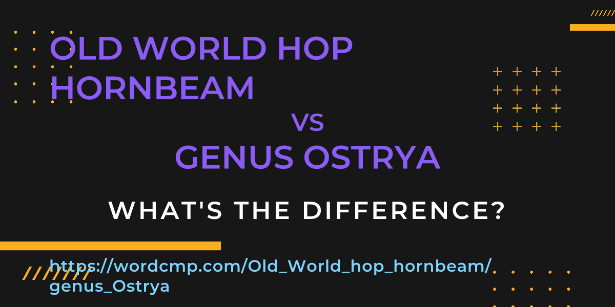 Difference between Old World hop hornbeam and genus Ostrya