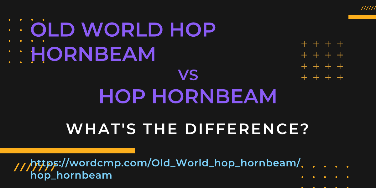 Difference between Old World hop hornbeam and hop hornbeam