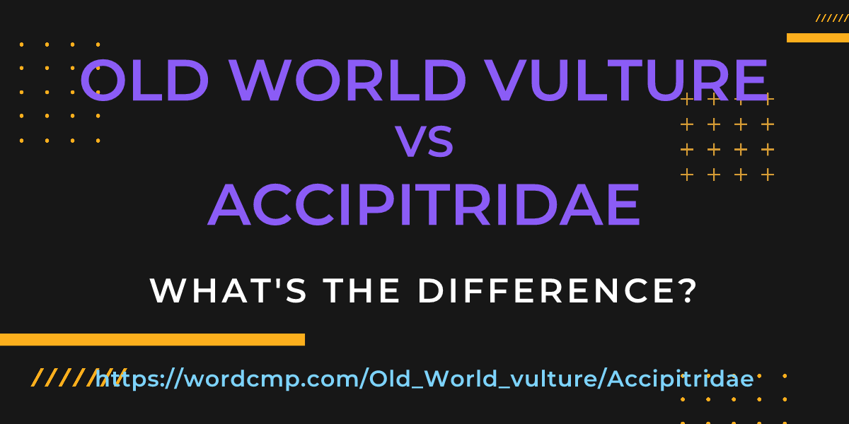 Difference between Old World vulture and Accipitridae