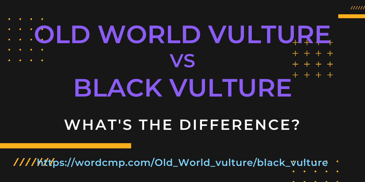 Difference between Old World vulture and black vulture