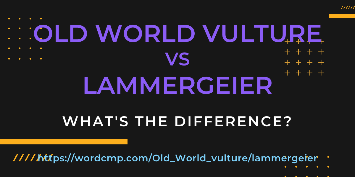 Difference between Old World vulture and lammergeier