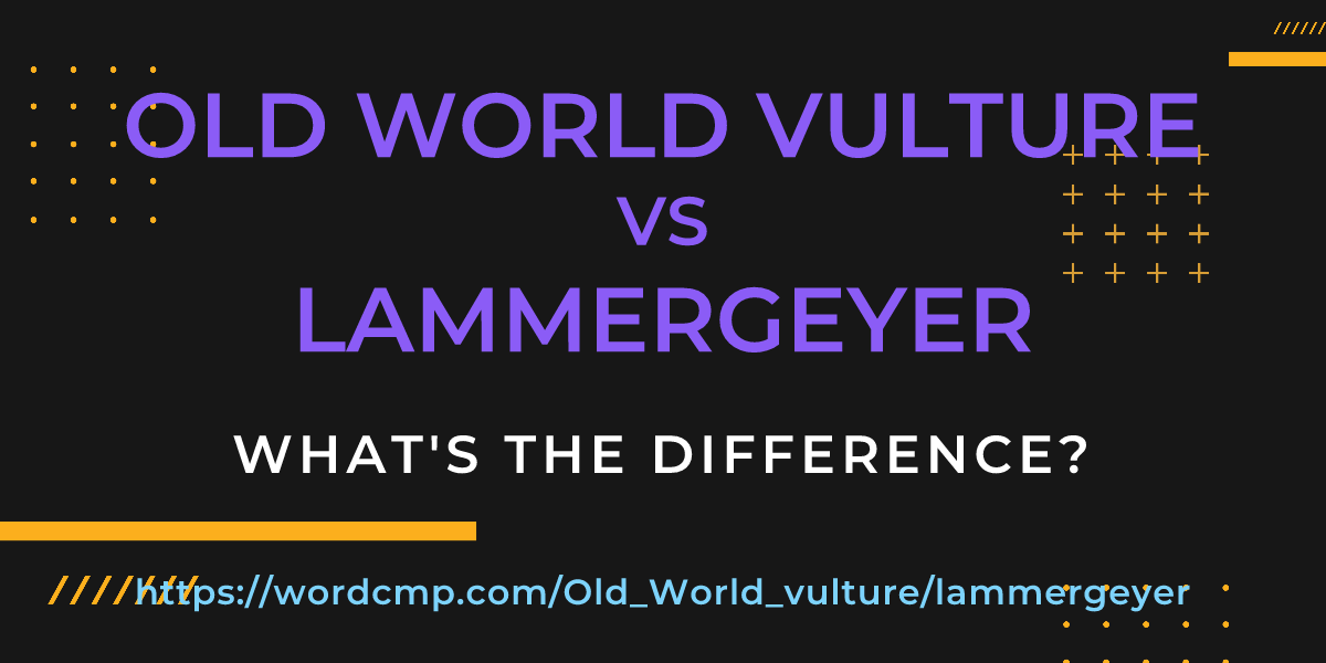 Difference between Old World vulture and lammergeyer