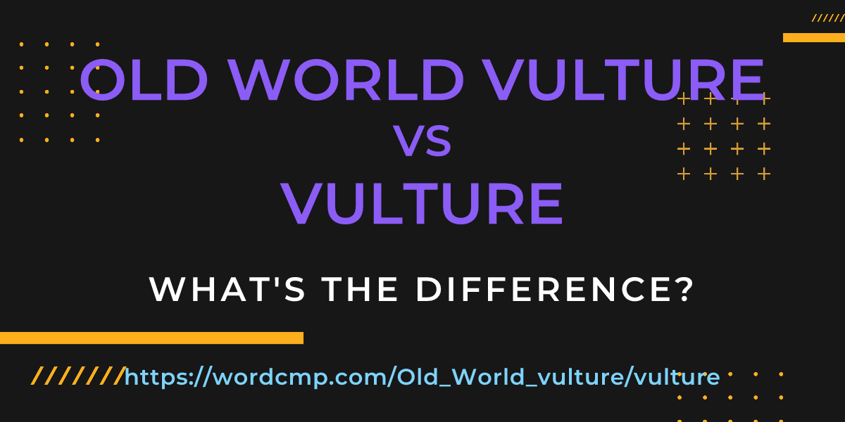 Difference between Old World vulture and vulture