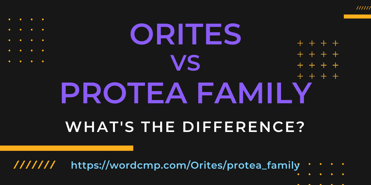 Difference between Orites and protea family