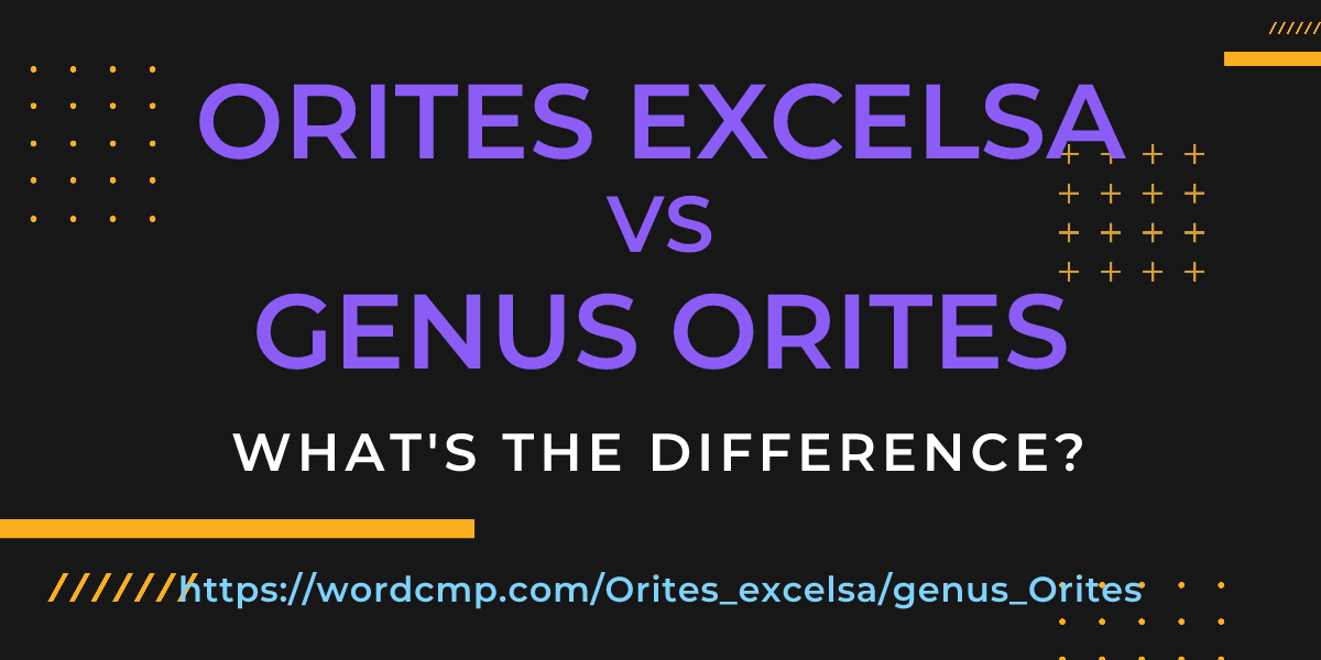 Difference between Orites excelsa and genus Orites