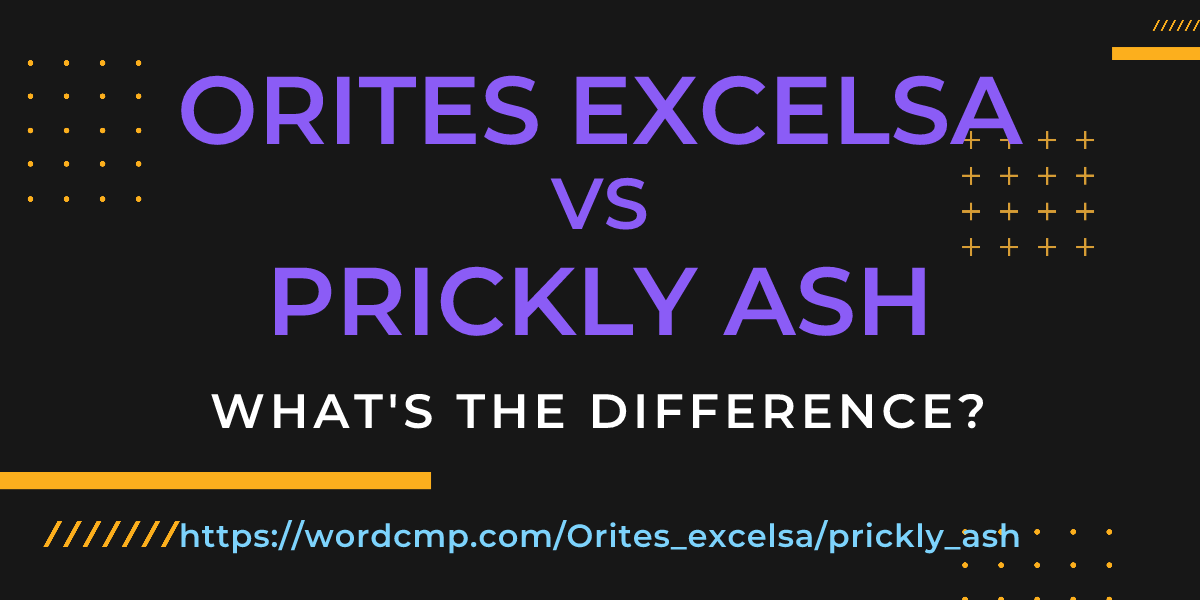 Difference between Orites excelsa and prickly ash