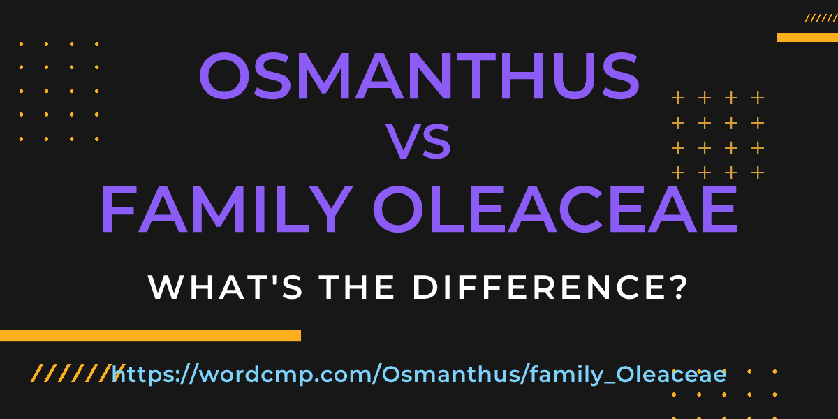 Difference between Osmanthus and family Oleaceae