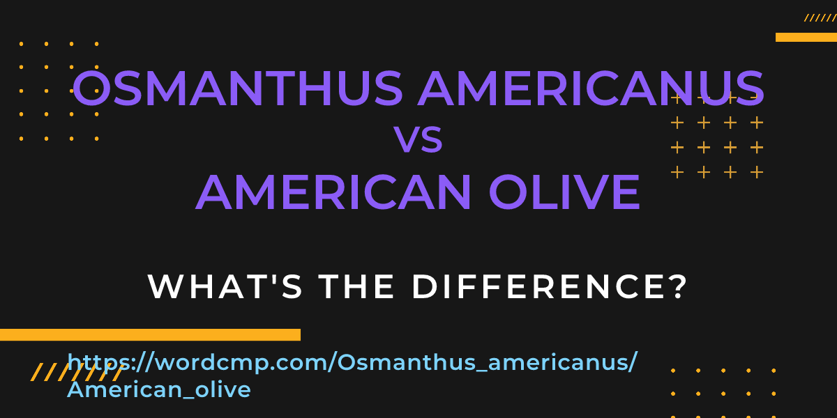 Difference between Osmanthus americanus and American olive