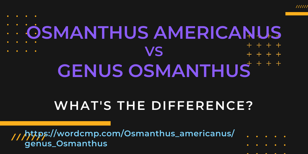 Difference between Osmanthus americanus and genus Osmanthus
