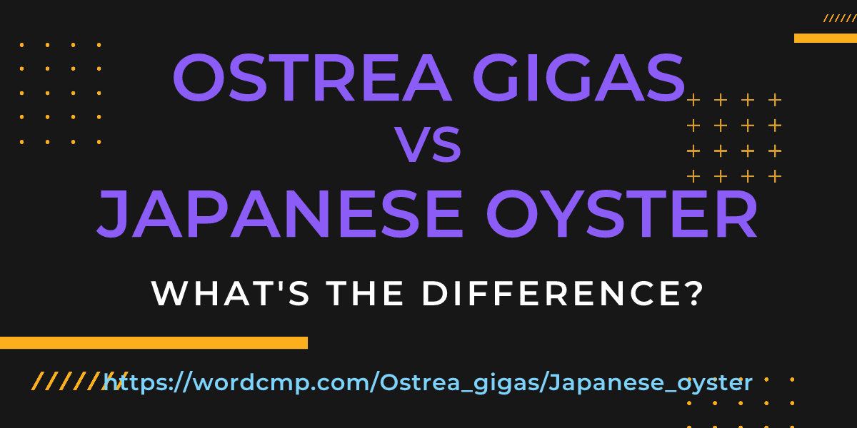 Difference between Ostrea gigas and Japanese oyster