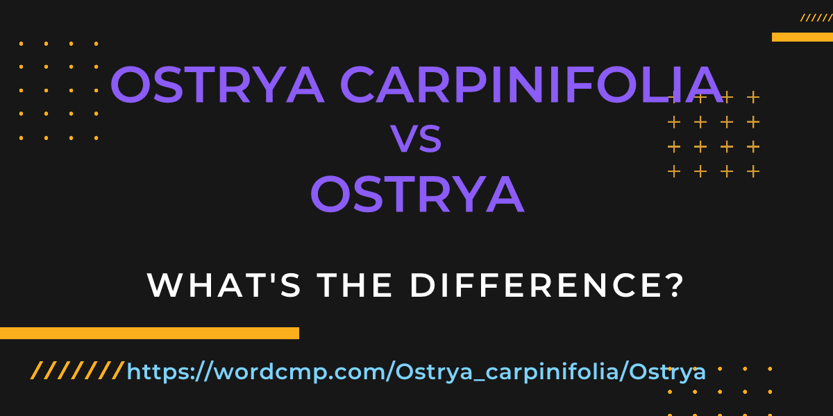 Difference between Ostrya carpinifolia and Ostrya