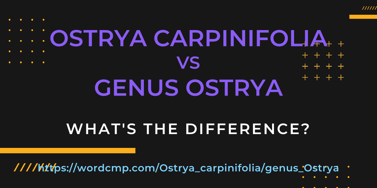 Difference between Ostrya carpinifolia and genus Ostrya
