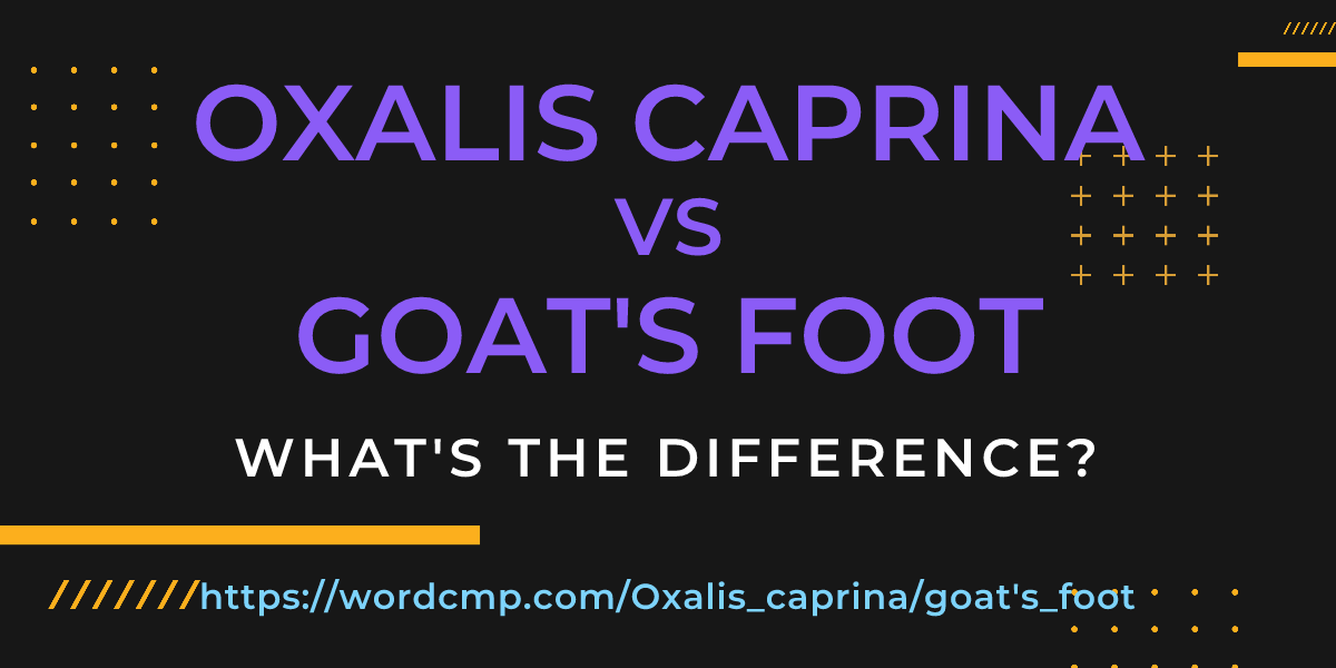 Difference between Oxalis caprina and goat's foot