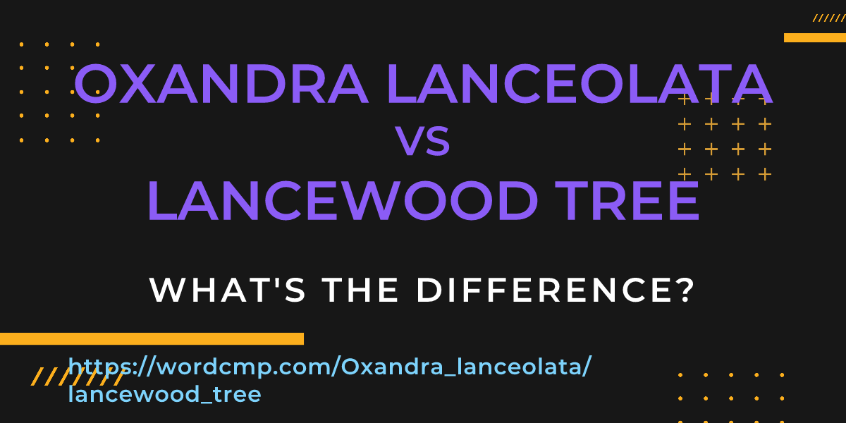 Difference between Oxandra lanceolata and lancewood tree