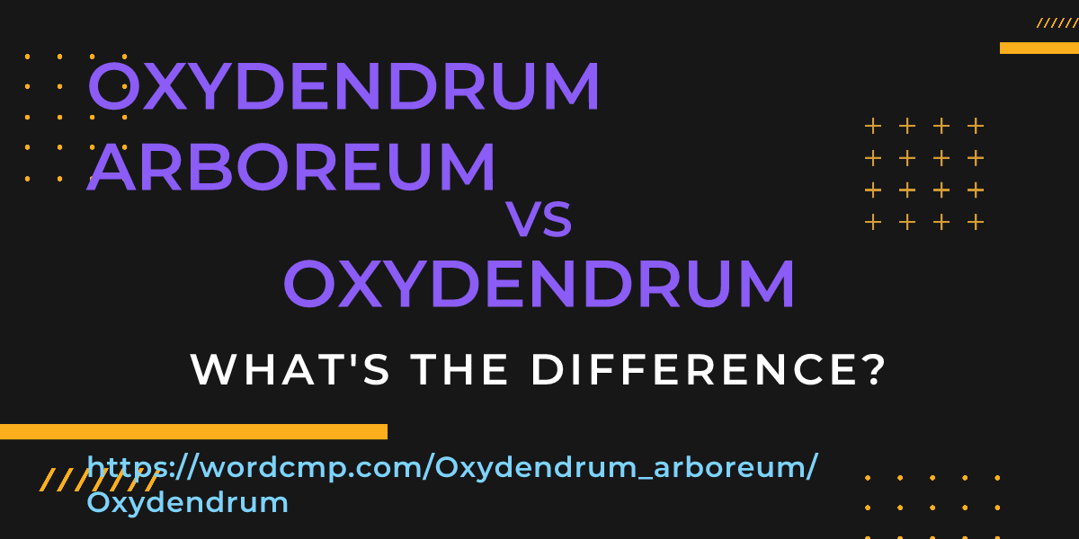 Difference between Oxydendrum arboreum and Oxydendrum