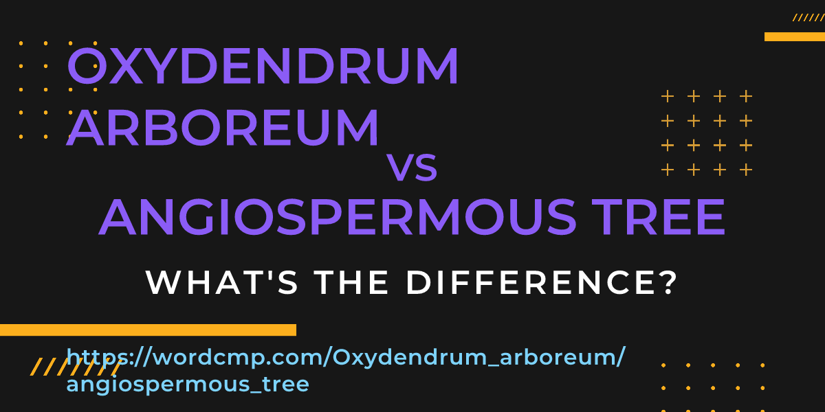 Difference between Oxydendrum arboreum and angiospermous tree